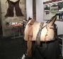 Exposición Vive la Dehesa 2018.