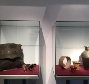 Exposición Vive la Dehesa 2018