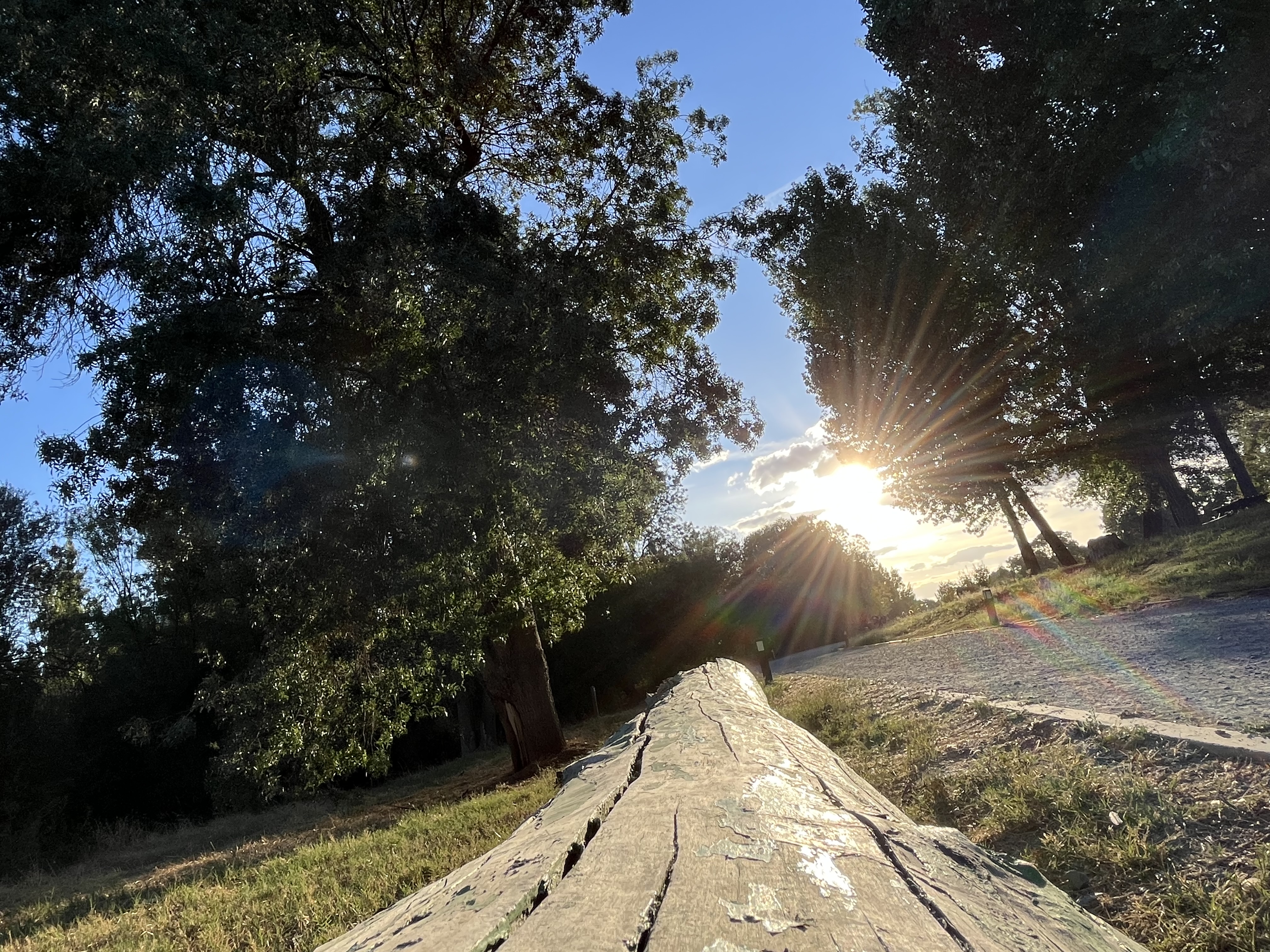Naturaleza brillante. Primer Premio Categoría Infantil-Juvenil