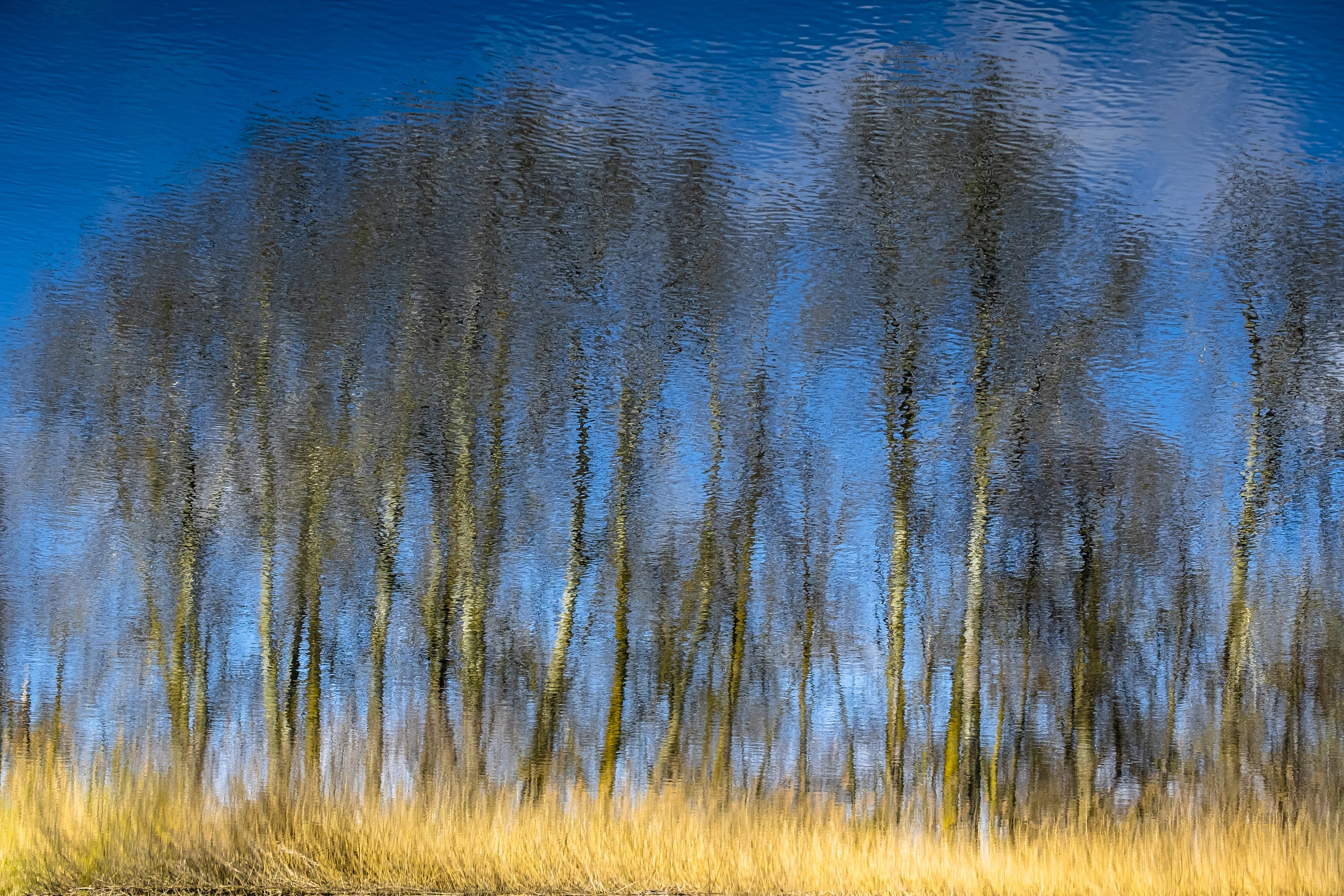 Respira. 2º Accésit