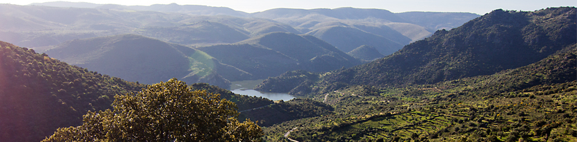 Visitas guiadas a Las Arribes Visitas guiadas a Las Arribes