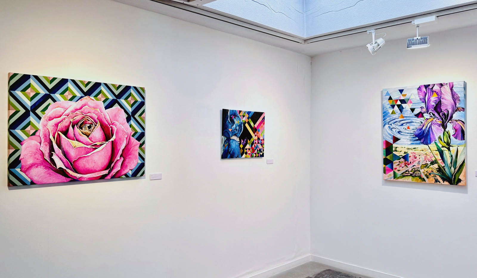 Exposición UNIVERSOS de Raquel Pérez Giráldez