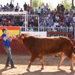 Exposición Internacional de ganado puro