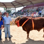 Exposición Internacional de ganado puro