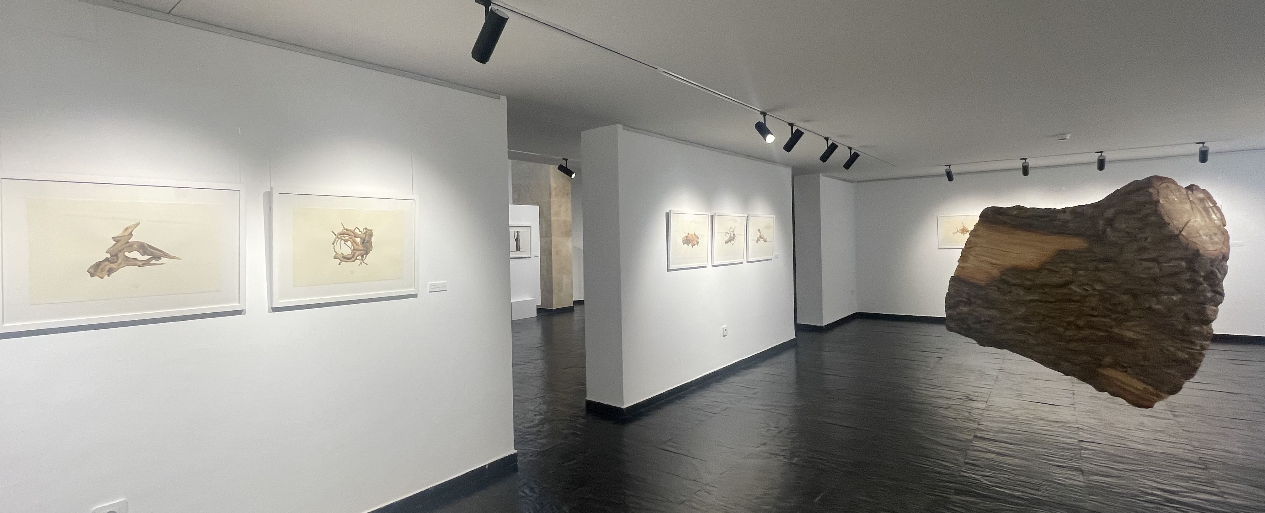 Exposición Enrique Reche: Árbol