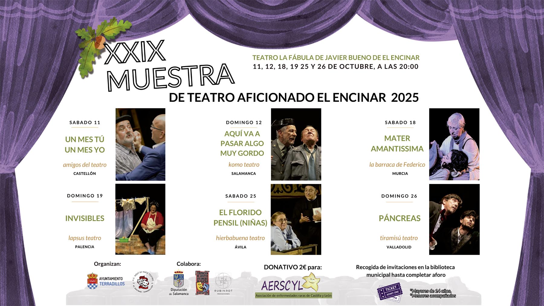 Cartel XXIX Muestra Terradillos