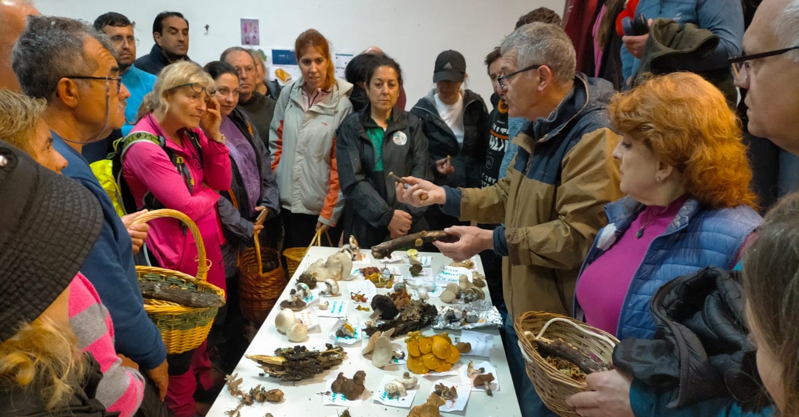 Imagen de una actividad en la Jornada Navarredonda Rinconada