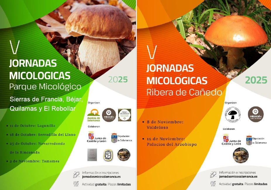 La Diputación de Salamanca presenta sus Jornadas Micológicas 2025 con 6 actividades gratuitas